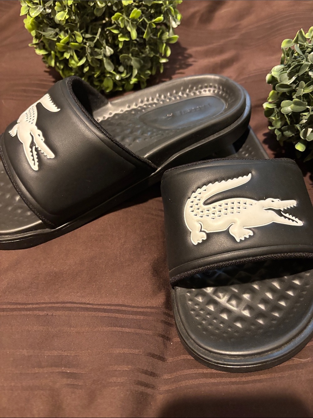 Lacoste Black Slides with White Crocodile Logo - Picture 3 of 4